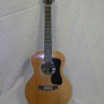 Guild 12 String