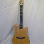 Godin Nylon String
