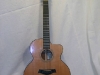 Taylor 12 String