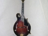Washburn Mandolin