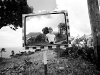 Self Portrait, Montserrat, 1981